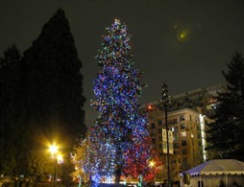 2012 Vancouver Christmas Tree Lighting at Esther Short Park